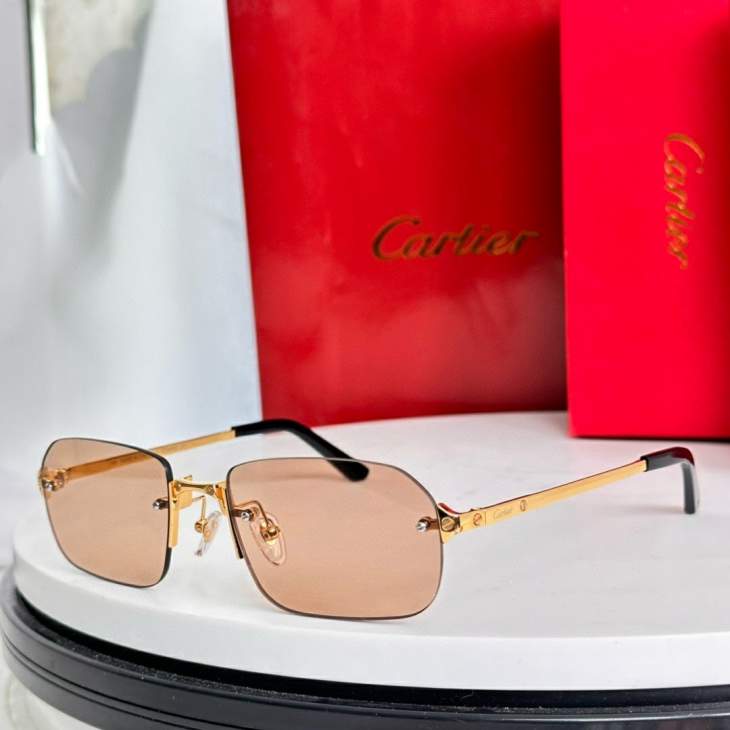 Picture of Cartier Sunglasses _SKUfw79479201fw